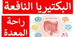 تجربتي مع البكتيريا النافعة