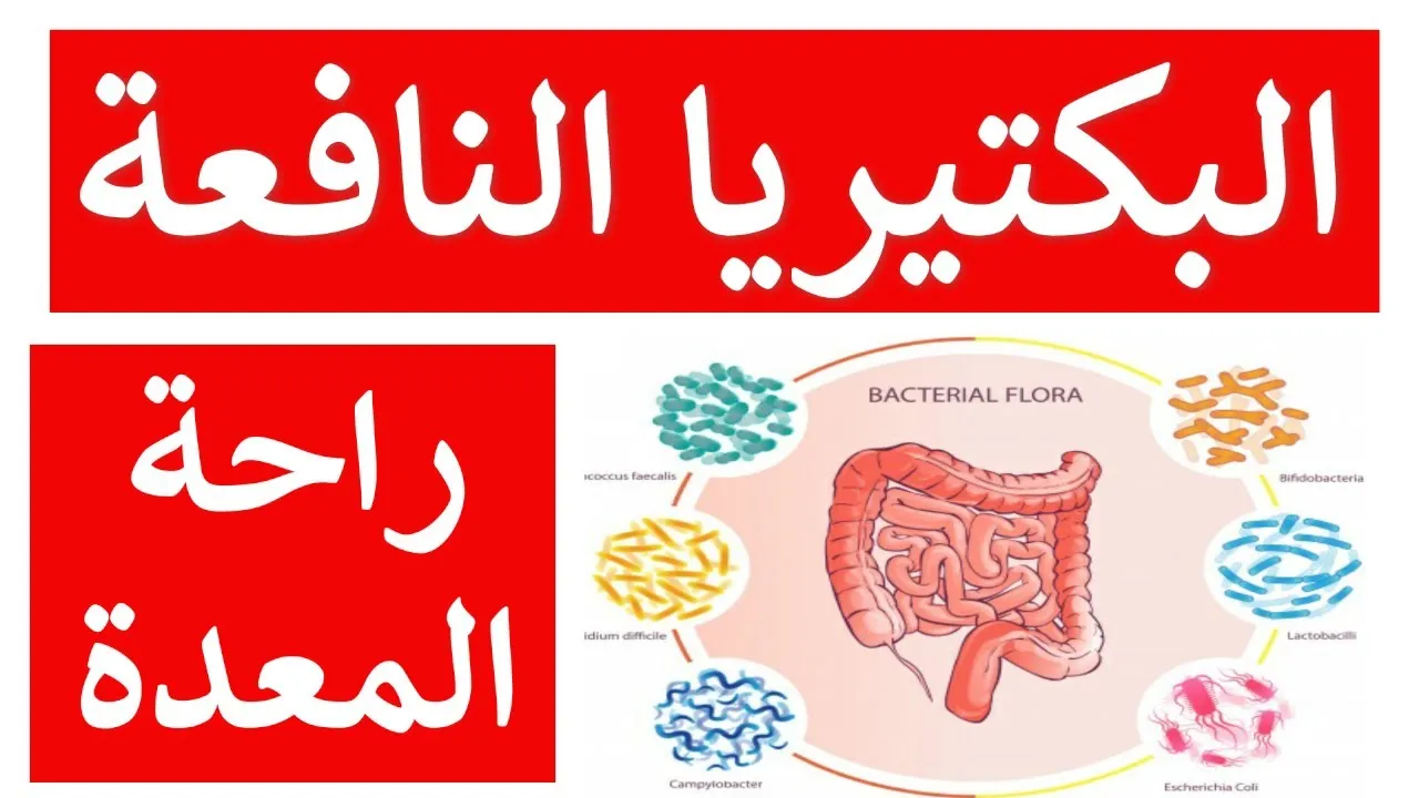 تجربتي مع البكتيريا النافعة