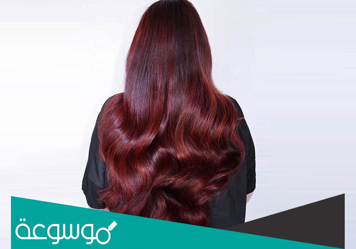 تجربتي مع كريم بانثينول للشعر | المميزات والنتائج