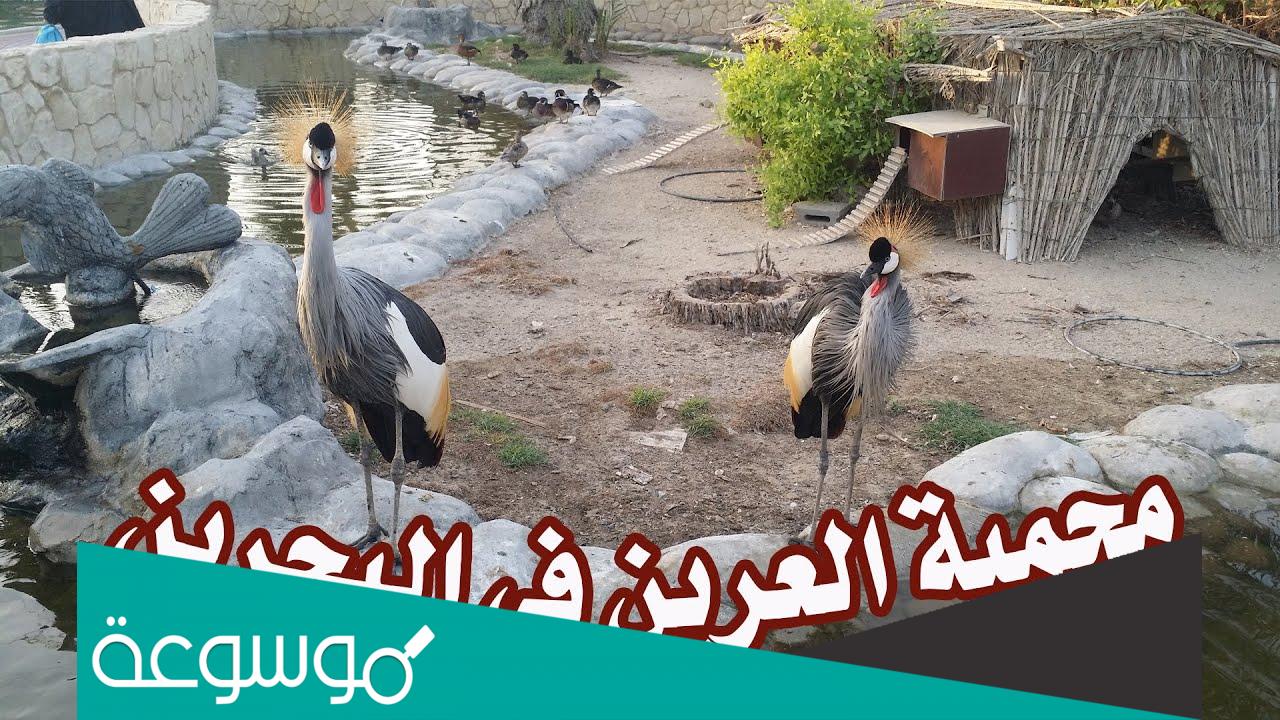 تعبير عن محمية العرين