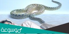 تفسير حلم الثعابين في البيت لابن سيرين