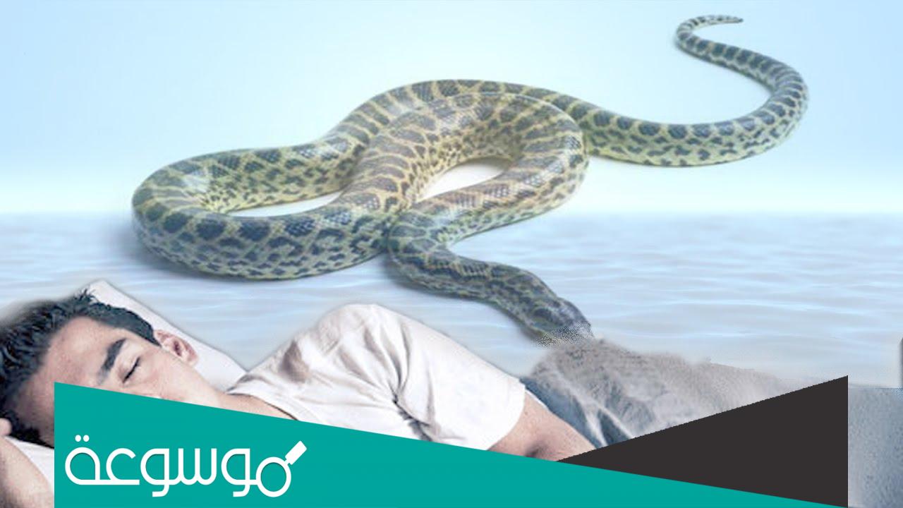 تفسير حلم الثعابين في البيت لابن سيرين