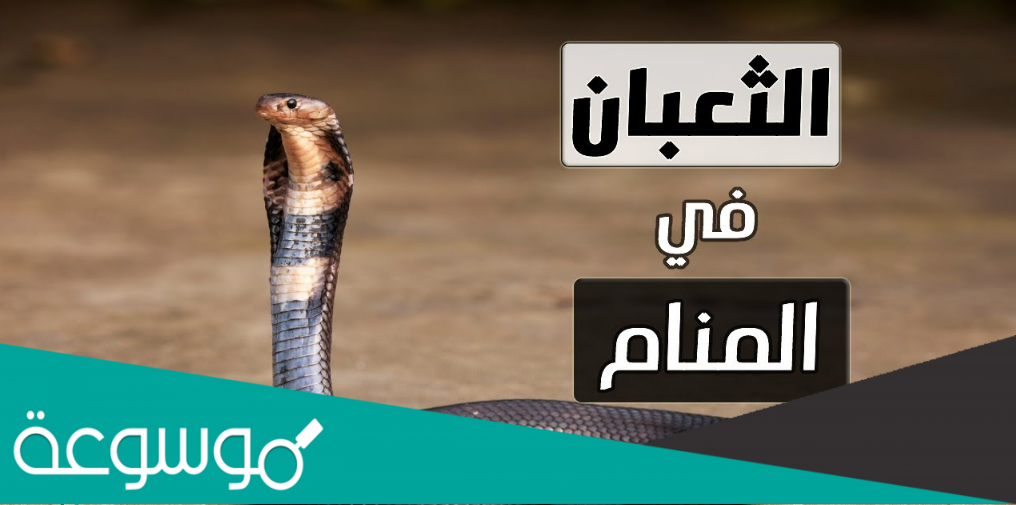 تفسير حلم الثعبان للمتزوجة في المنام