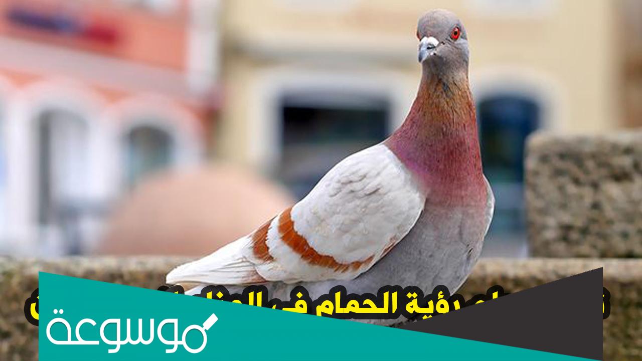 تفسير حلم الحمام المذبوح في المنام لابن سيرين
