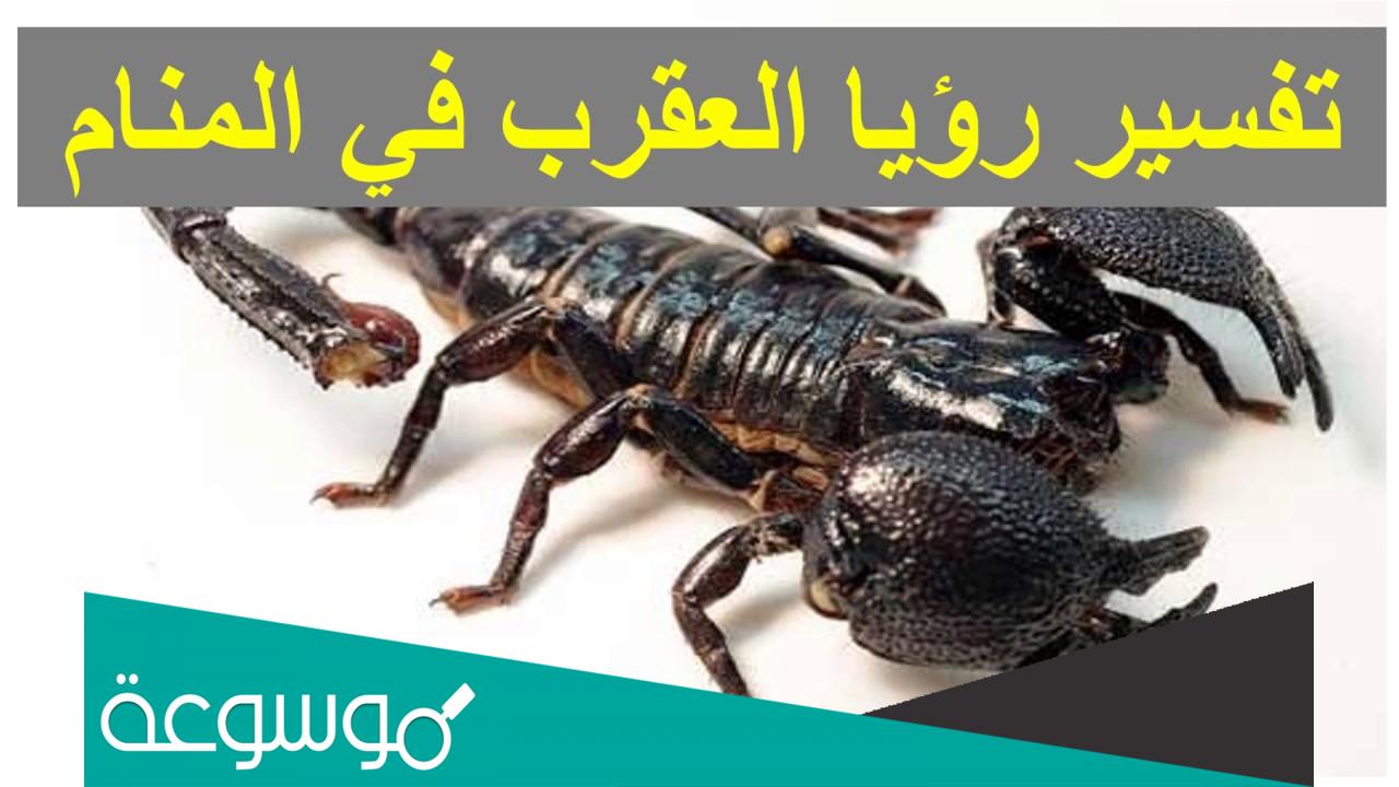 تفسير حلم العقرب الصفراء لابن سيرين وابن شاهين