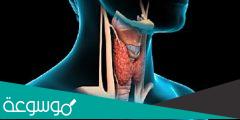 حالات شفيت من خمول الغدة الدرقية