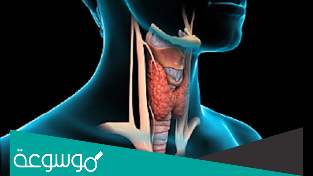 حالات شفيت من خمول الغدة الدرقية