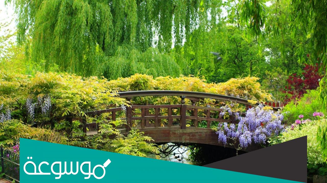 دخول الوسم 1443