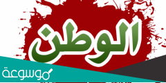 رسالة عن حب الوطن قصيرة .. كلمات وحكم جميلة عن الوطن