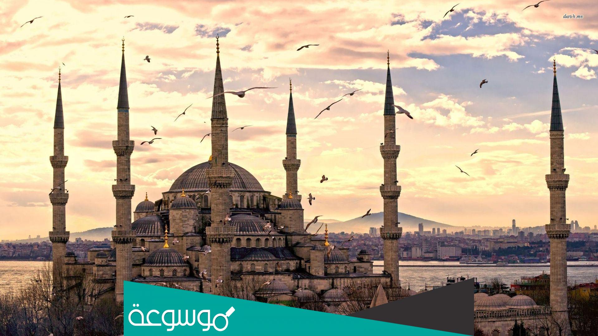 رقم شيخ مفتي يرد بسرعة