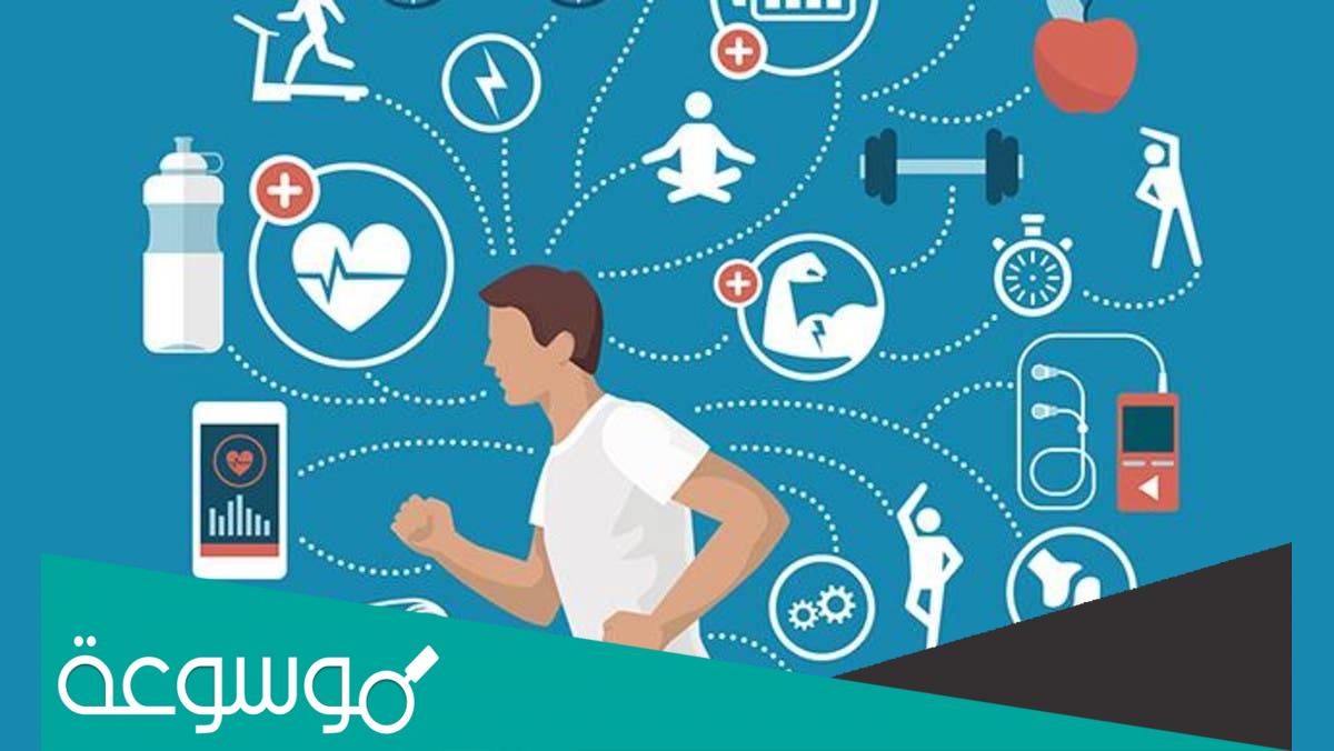 شكل الطاقة التي في الطعام