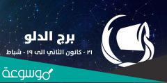 شكل برج الدلو بالصور والصفات الشكلية لأنثى ورجل برج الدلو
