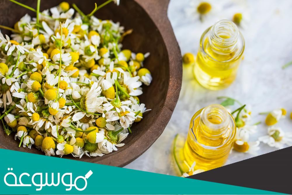 طريقة استخدام بخاخ البابونج وما هي أهم فوائده