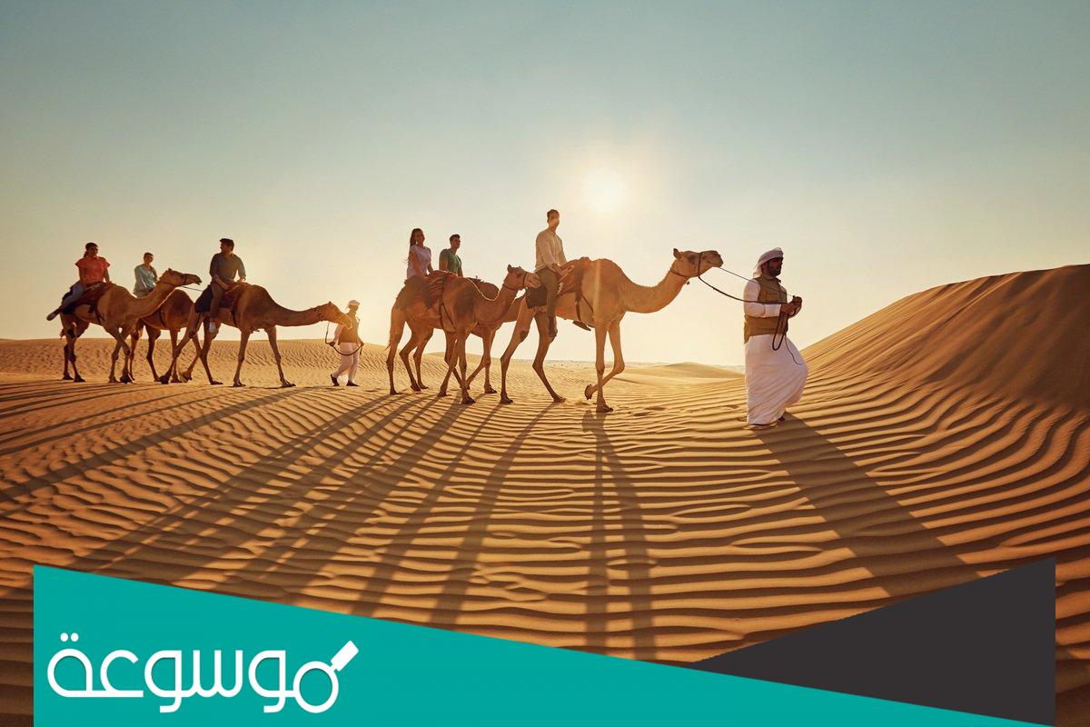 عائلة الشجراوي من اي بلد