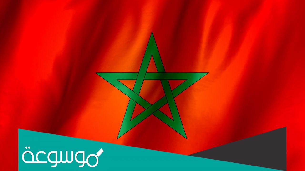 عدد الجالية المصرية في المغرب