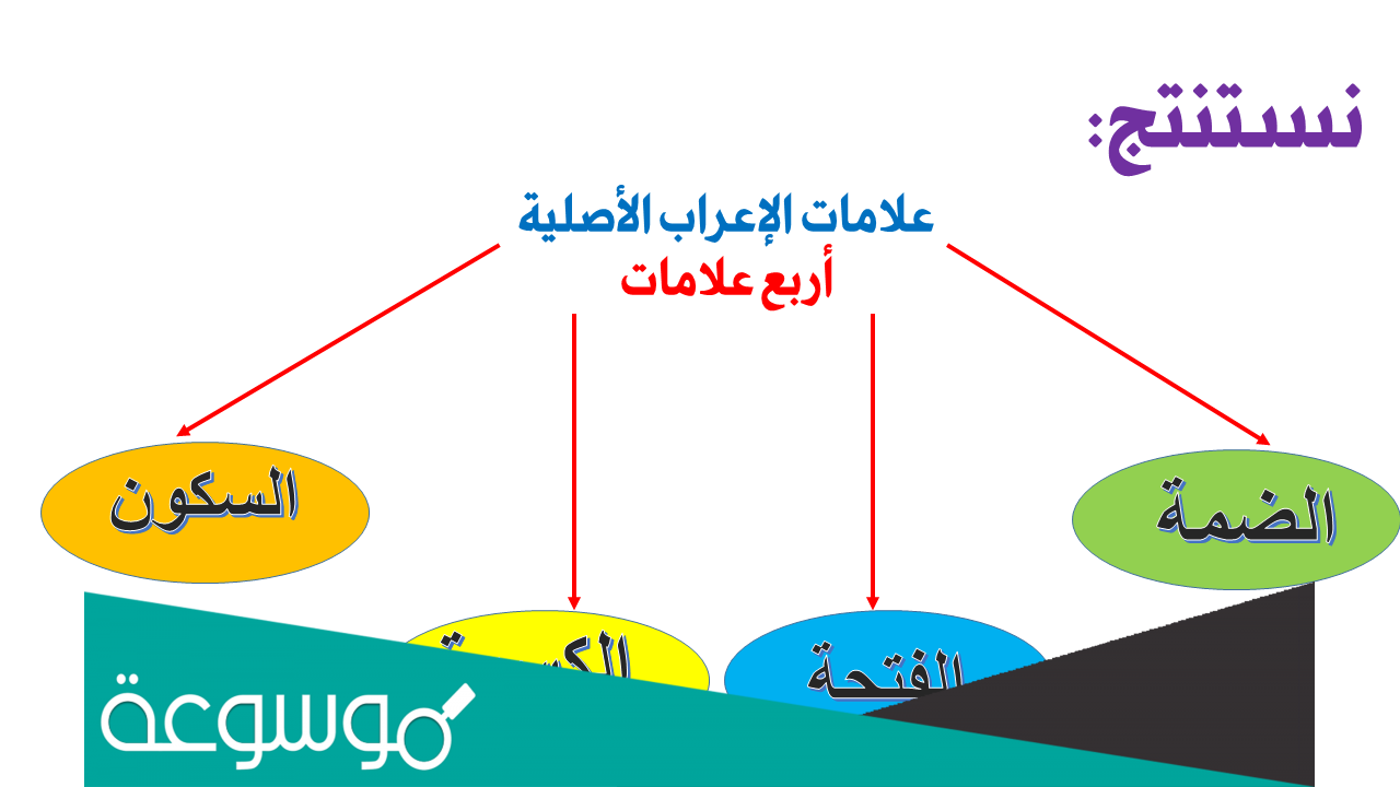 علامات الاعراب الاصلية والفرعية امثلة