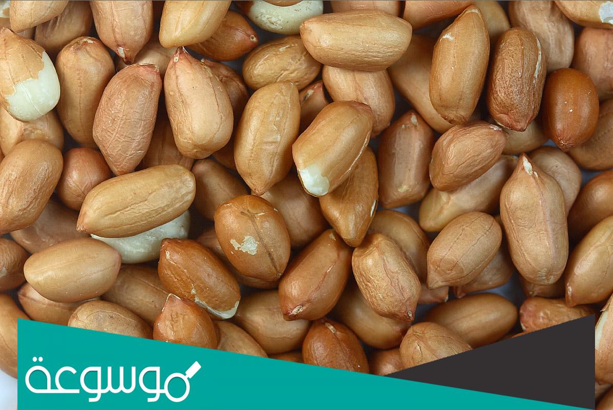 في اي دولة ظهر الفول السوداني لاول مرة