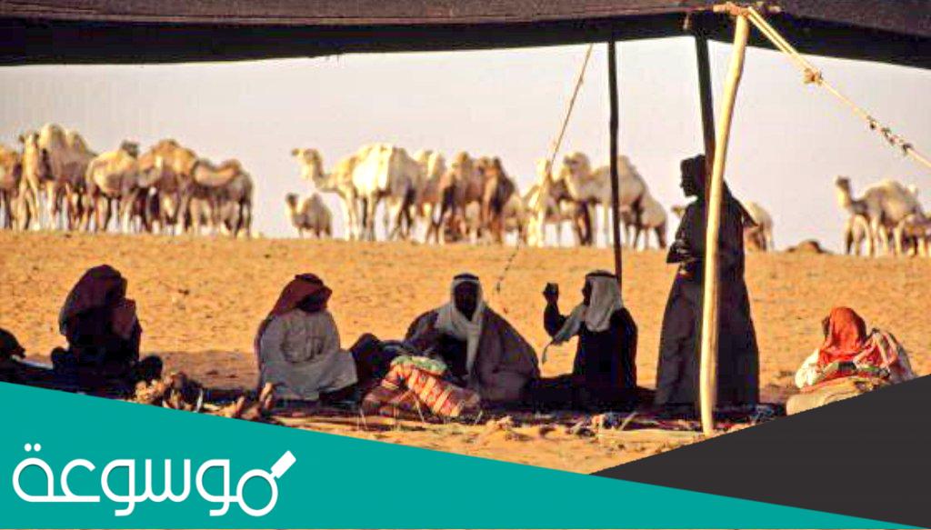 قبيلة البسامي وش يرجعون