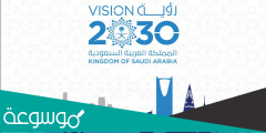 كلام جميل عن رؤية 2030
