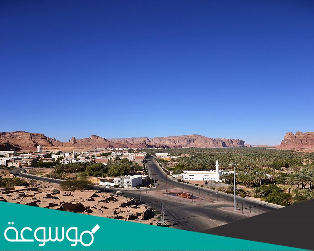 كم تبعد العلا عن تبوك