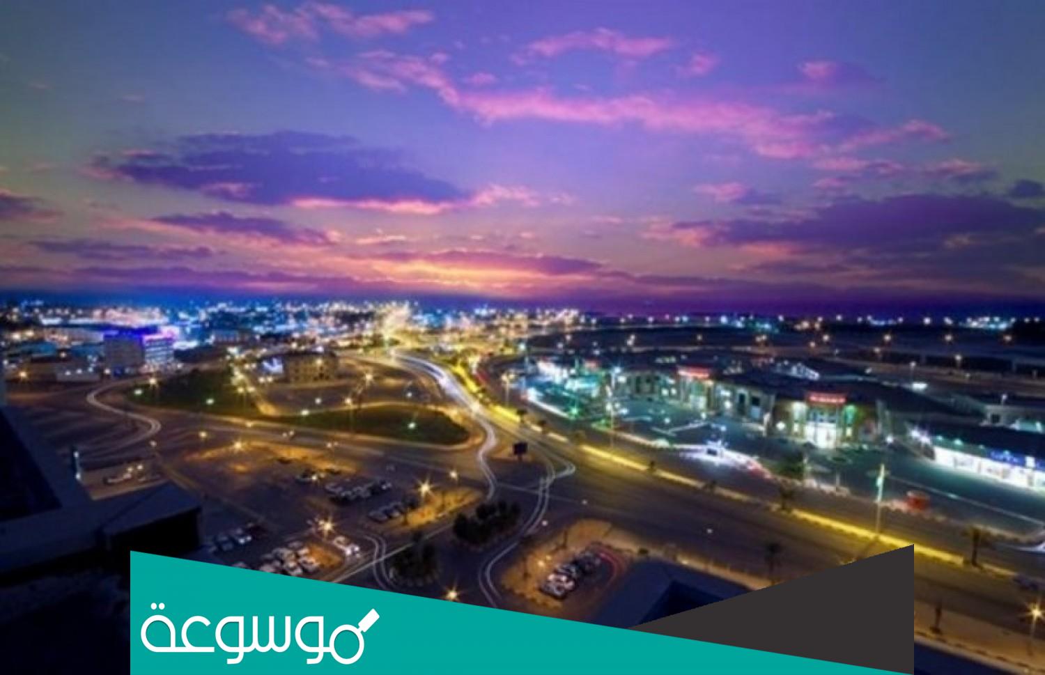 كم تبعد خميس مشيط عن ابها