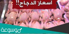 كم سعر الدجاج اليوم في الجزائر 2022