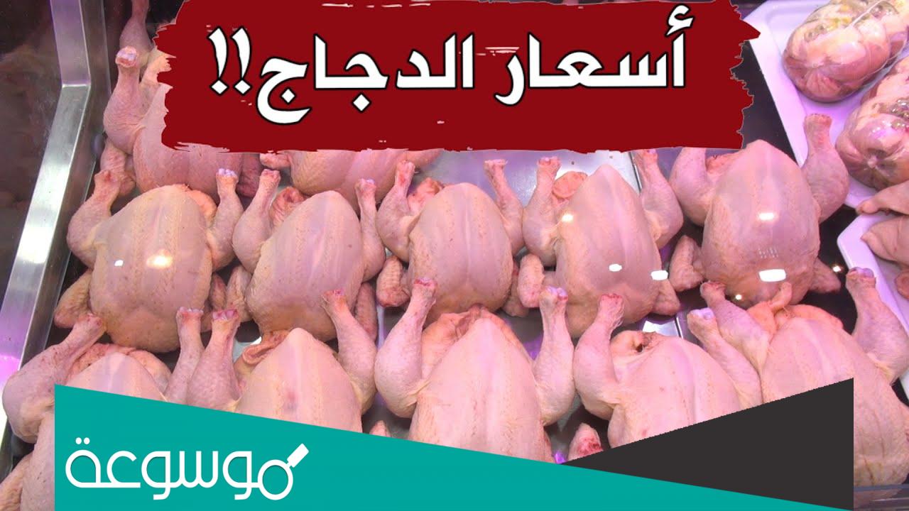 كم سعر الدجاج اليوم في الجزائر 2022