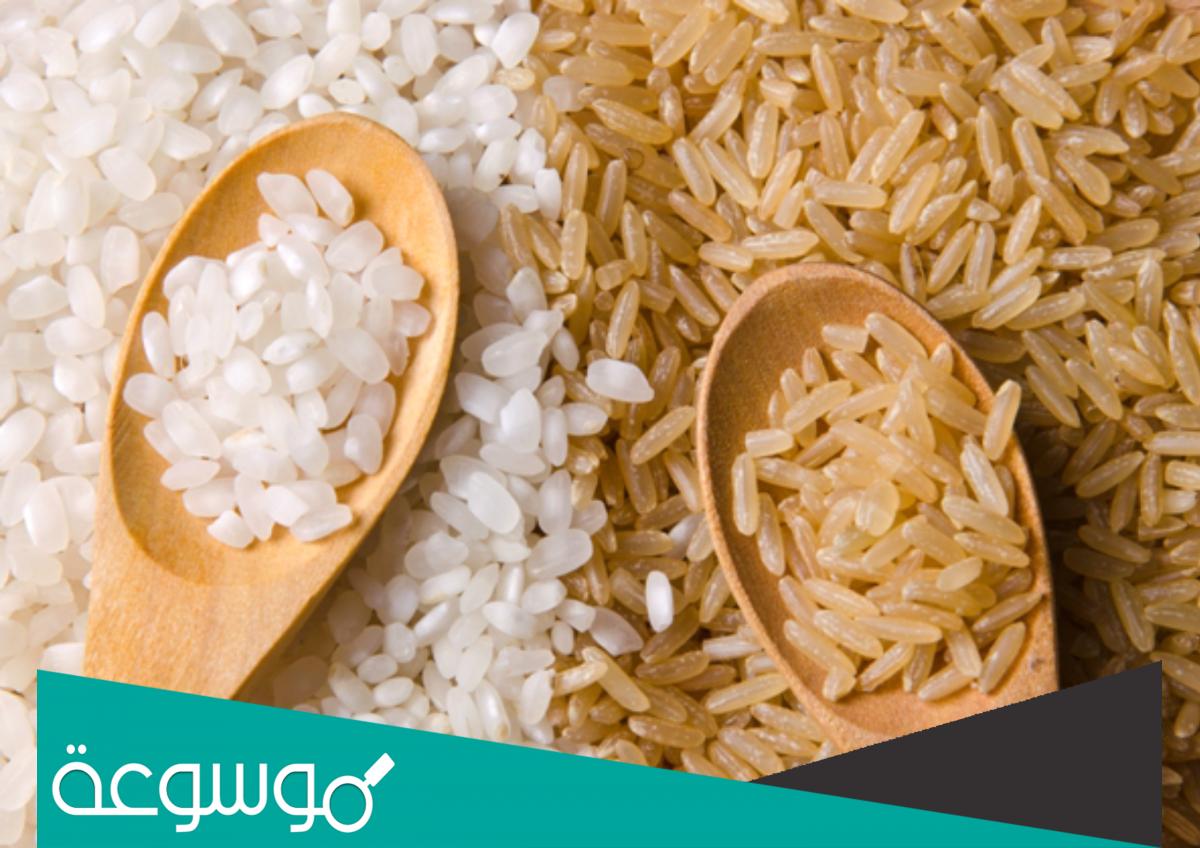 كم سعرة حرارية في ملعقة الرز .. فوائد الأرز للجسم