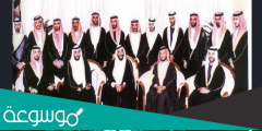 كم عدد ابناء الشيخ خليفة بن زايد وما هي أسماؤهم