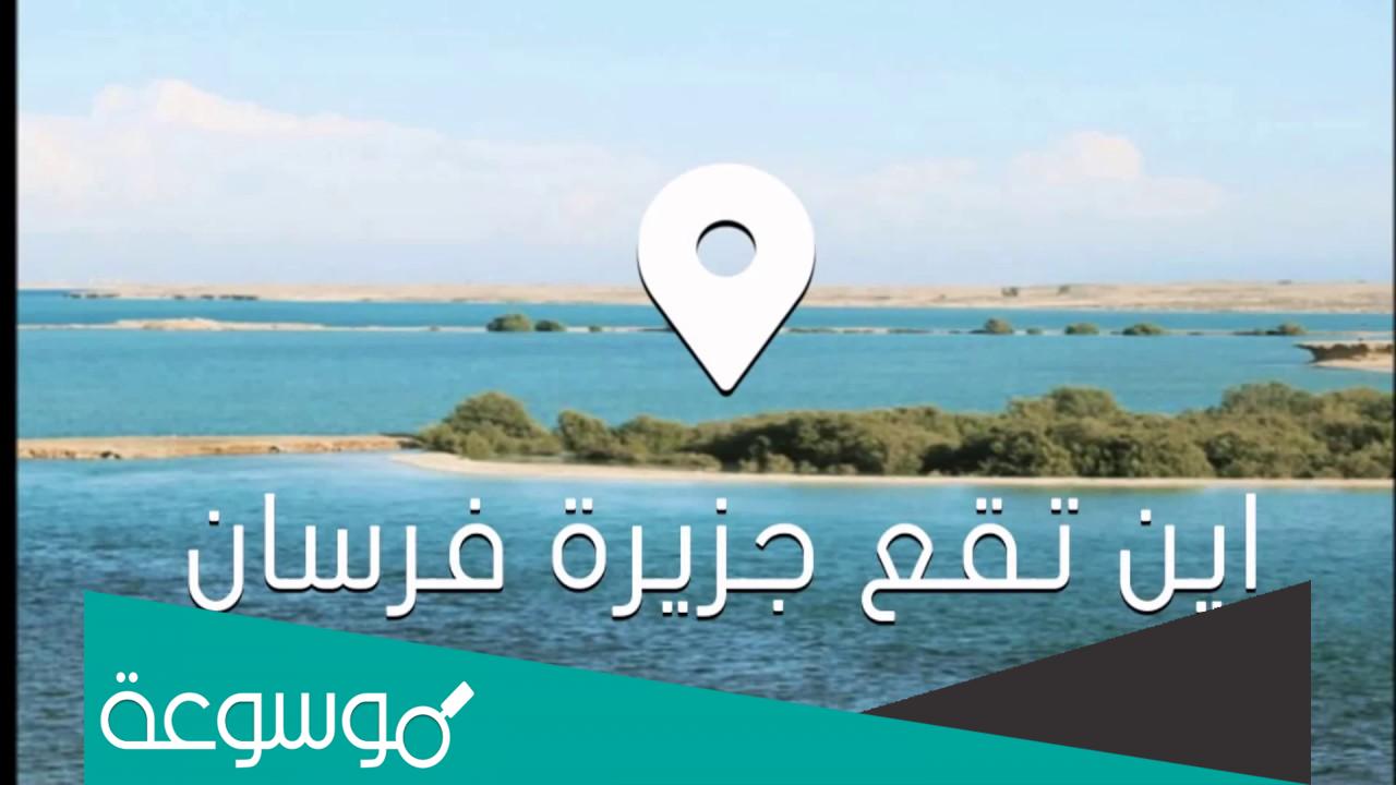 كم عدد جزر فرسان أهم المعلومات عن جزيرة فرسان الكبرى