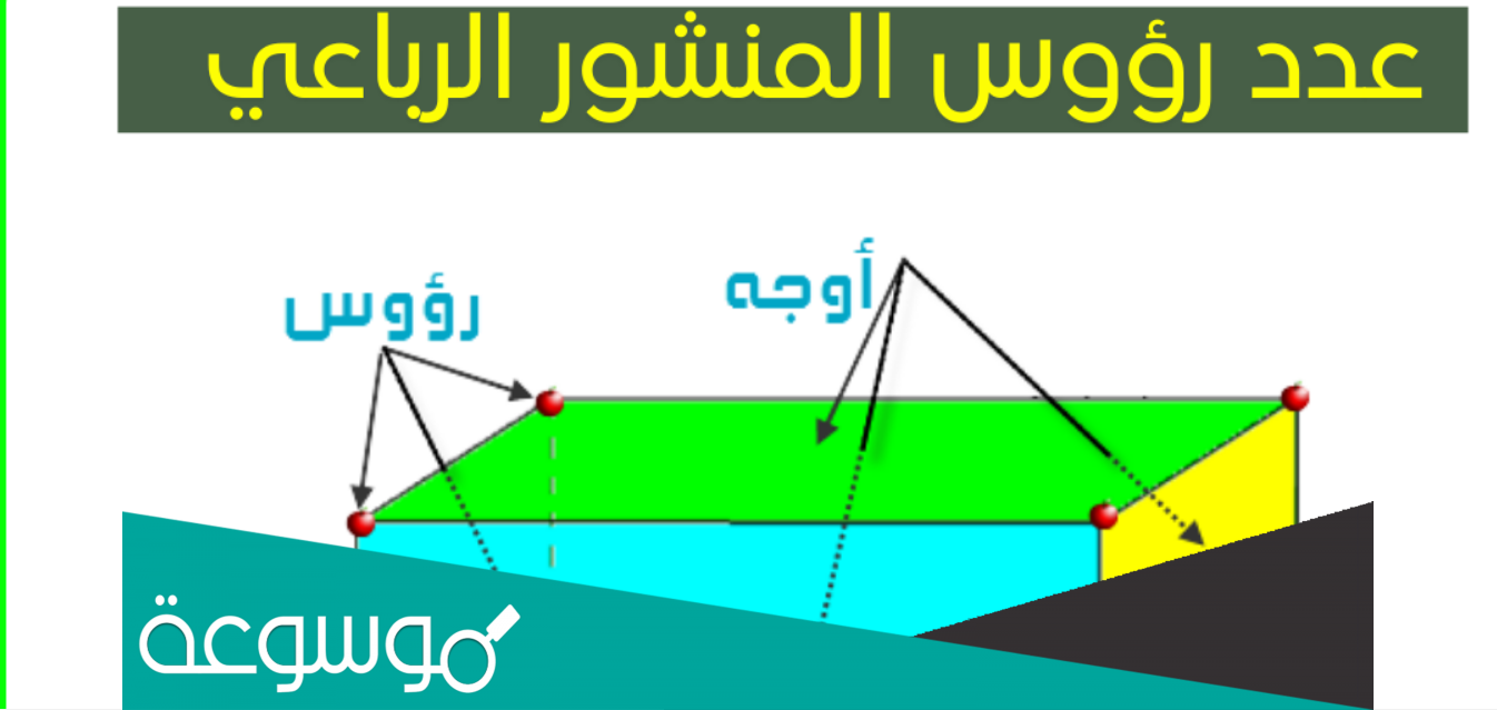 كم عدد رؤوس المنشور الرباعي