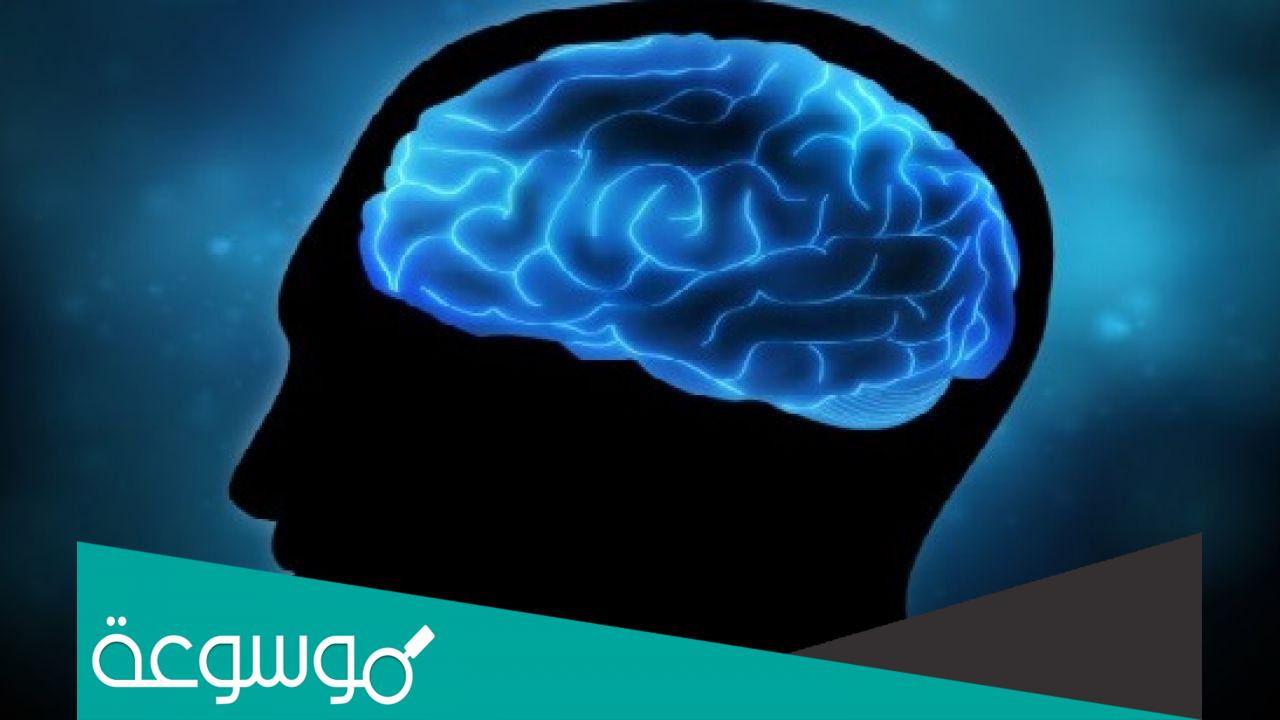 كم يستخدم الانسان من عقله