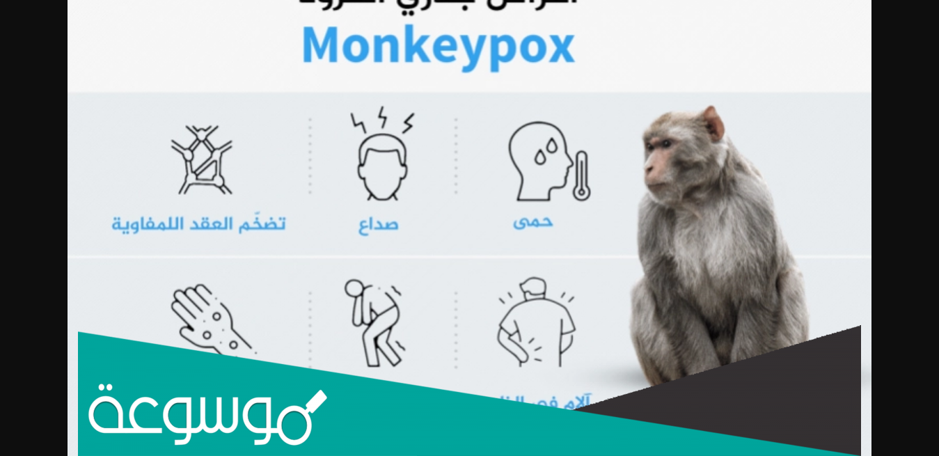 كيف ينتقل مرض جدري القرود