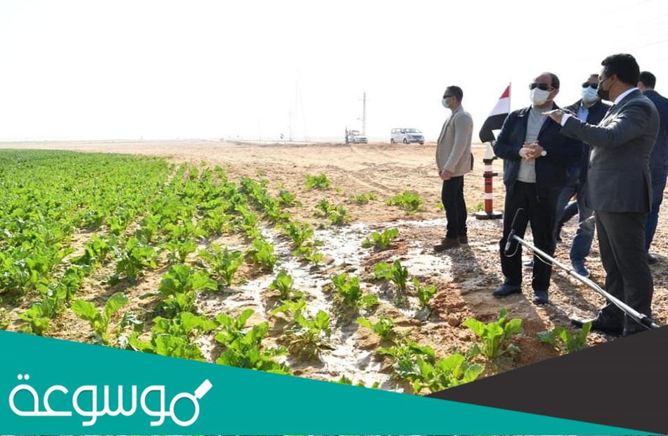 كيفية الاستثمار في مشروع مستقبل مصر