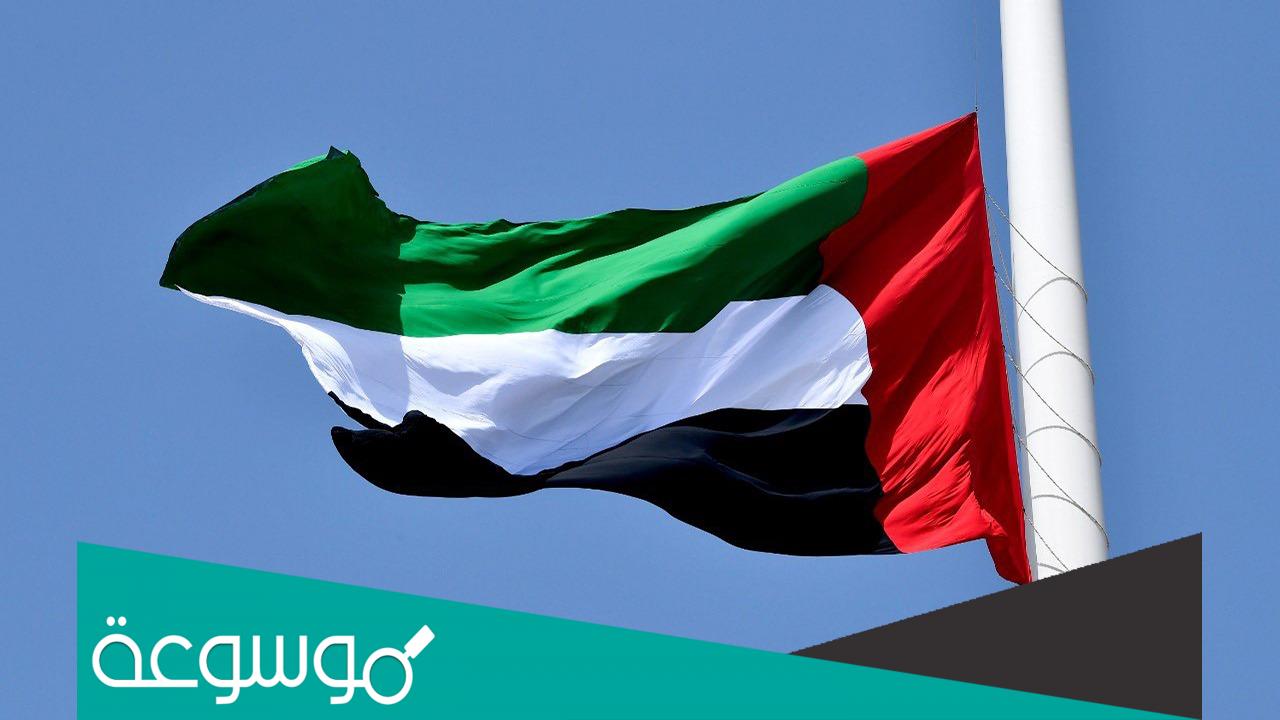 كيفية تنكيس العلم الوطني