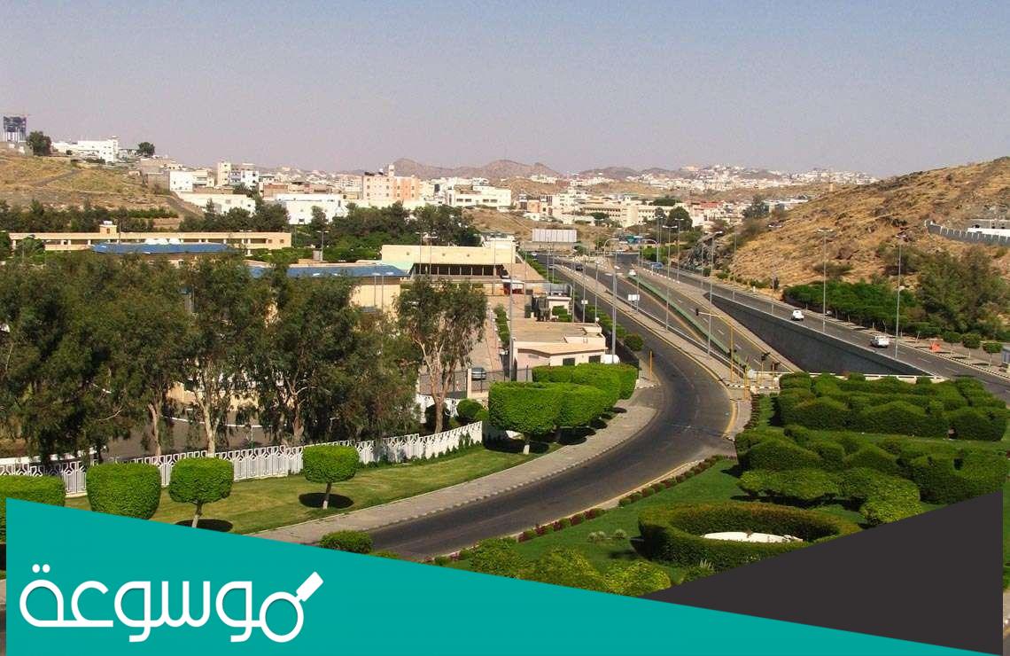 لماذا سميت الطائف بهذا الاسم