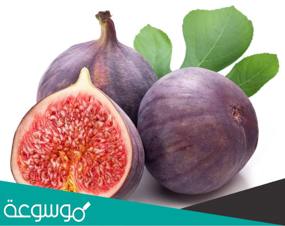 لماذا لا يزرع التين في الارجنتين