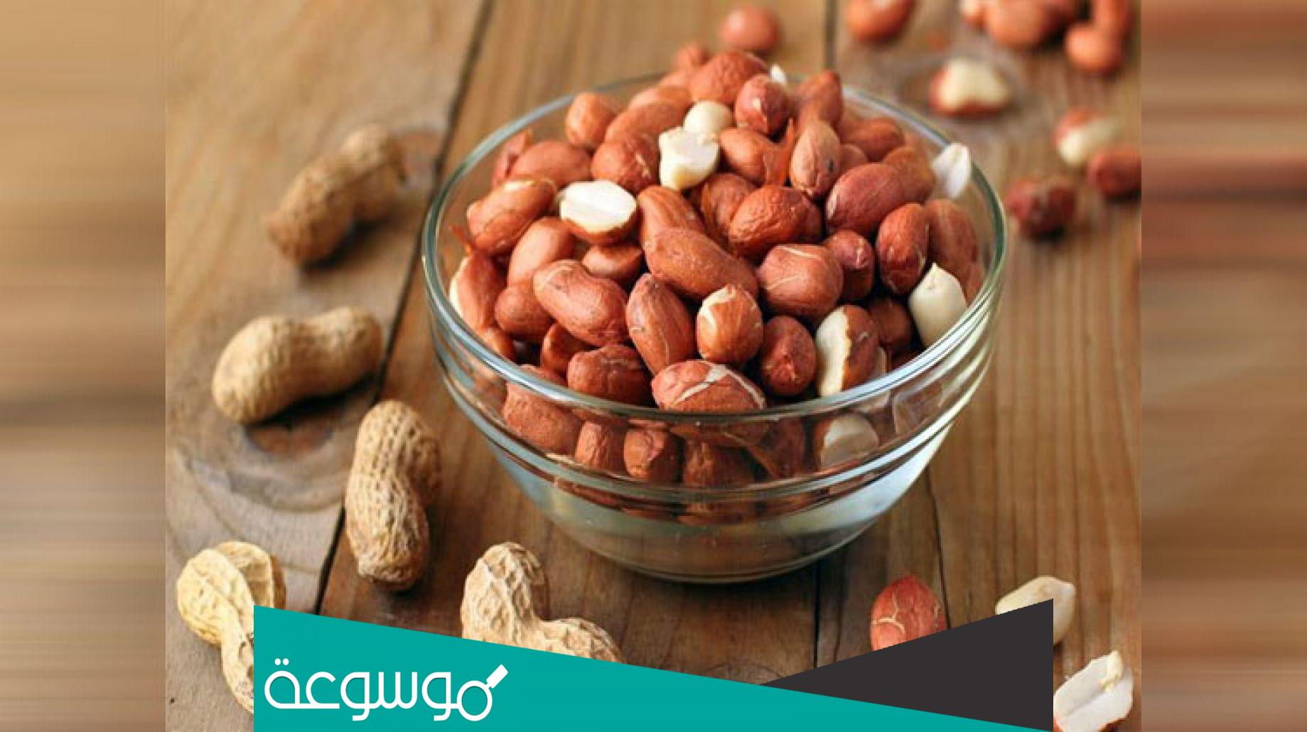 ما اسم السبال باللهجه الاماراتيه