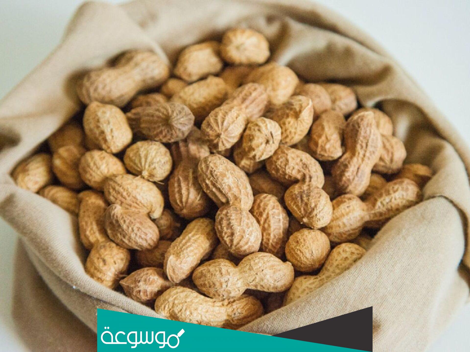 ما اسم الفول السوداني في الامارات