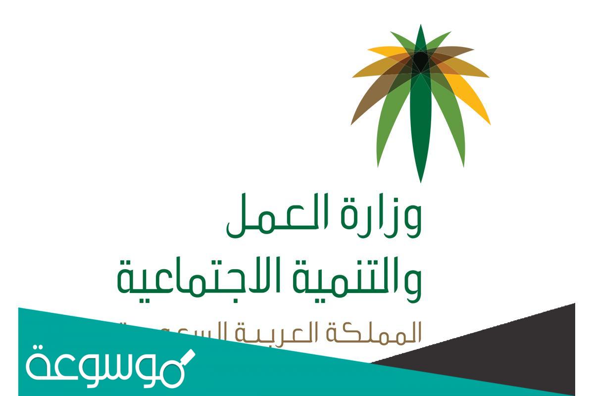 ما هي المهن غير المسعودة والمسموح للأجانب بها