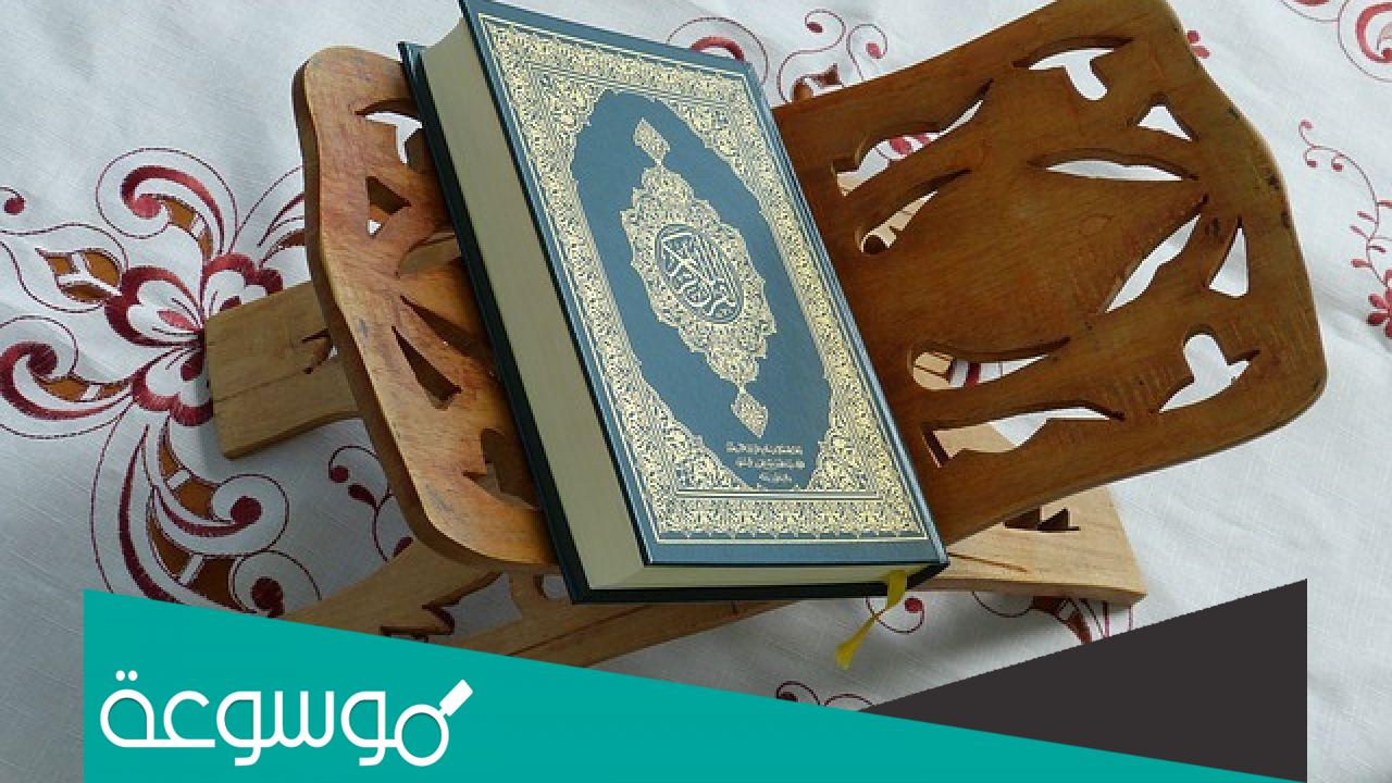 ماهي الحشرة التي تكلمت في القرآن