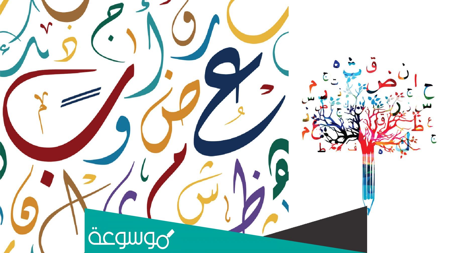 مقدمة عامة حول الأقصوصة