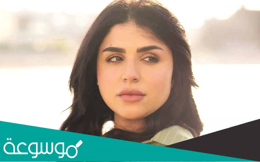 من هو زوج شيماء سليمان ويكيبيديا