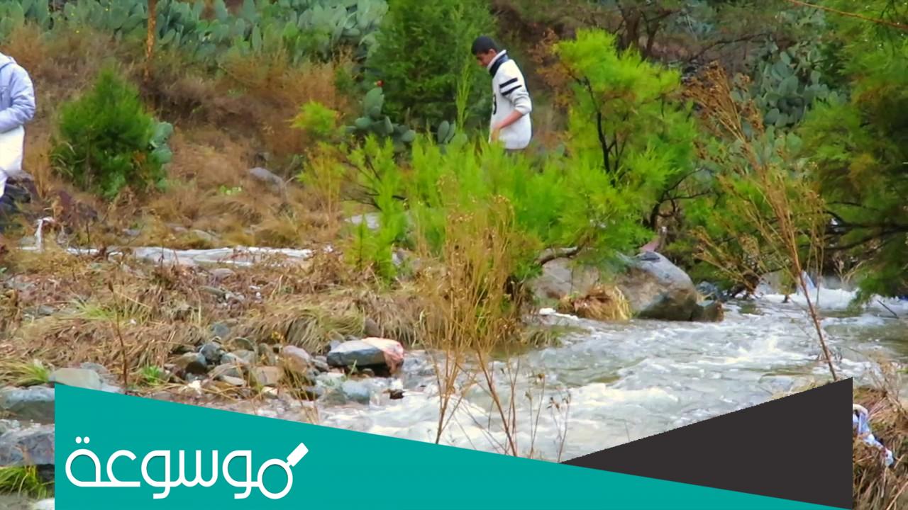 من هي عروس الجبل في سوريا