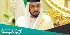 من يتولى الحكم في الامارات بعد خليفة بن زايد