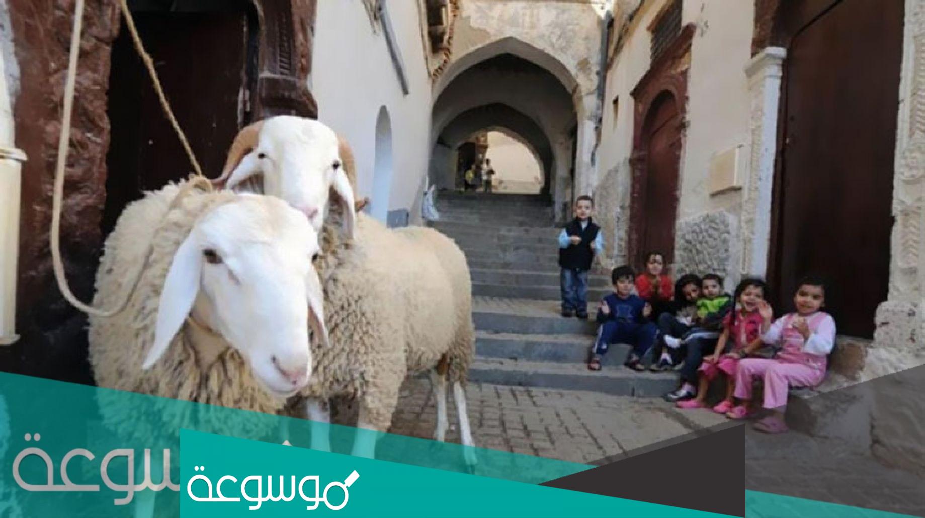 موعد عيد الأضحى 2022 في مصر