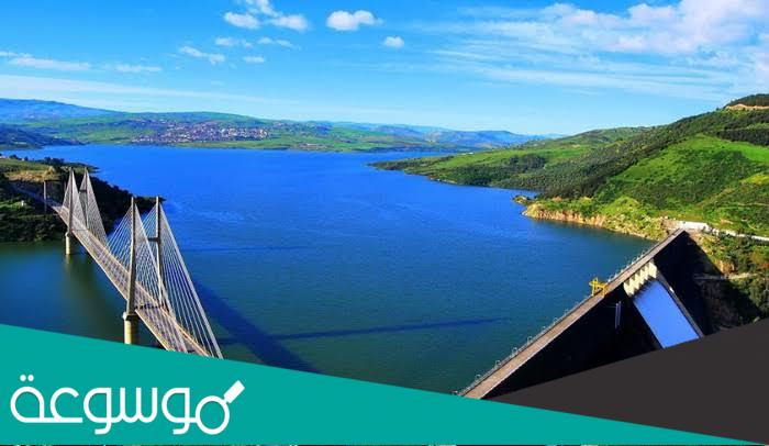 نسبة امتلاء السدود في الجزائر 2022