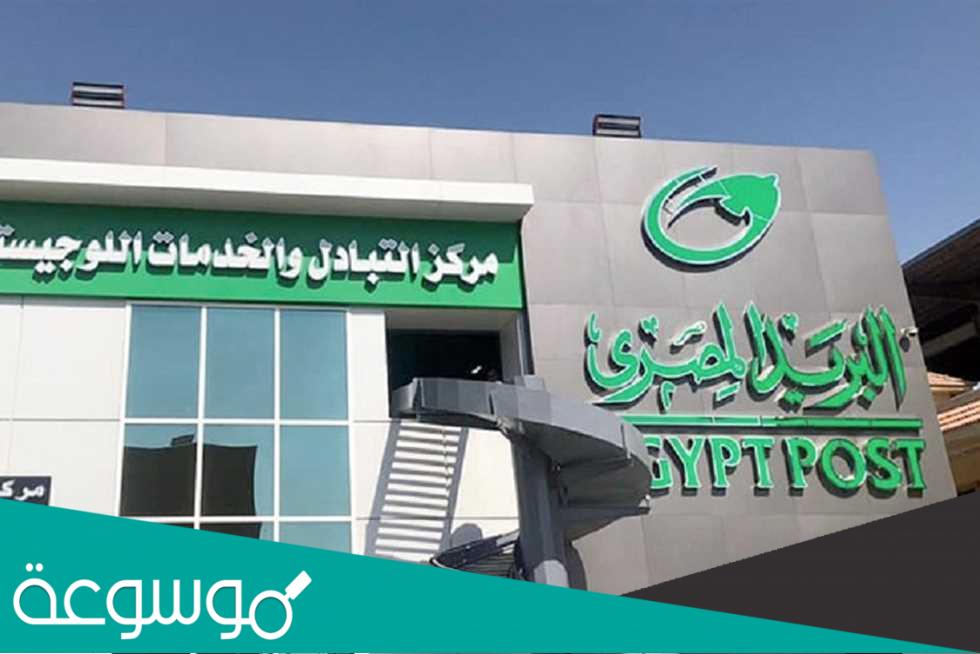 وظائف هيئة البريد المصري للمؤهلات العليا والدبلومات .. سجل الآن