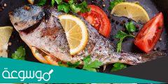 أفضل مطعم سمك شعبي في جدة مع العناوين