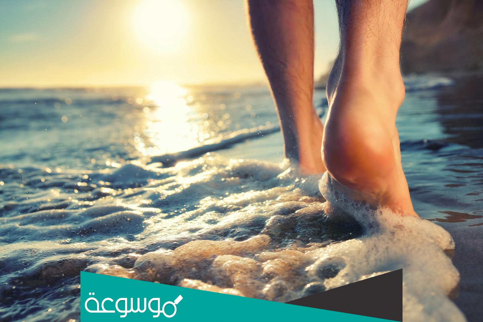 أمام البحر قد وقف بدون ايقاع كلمات